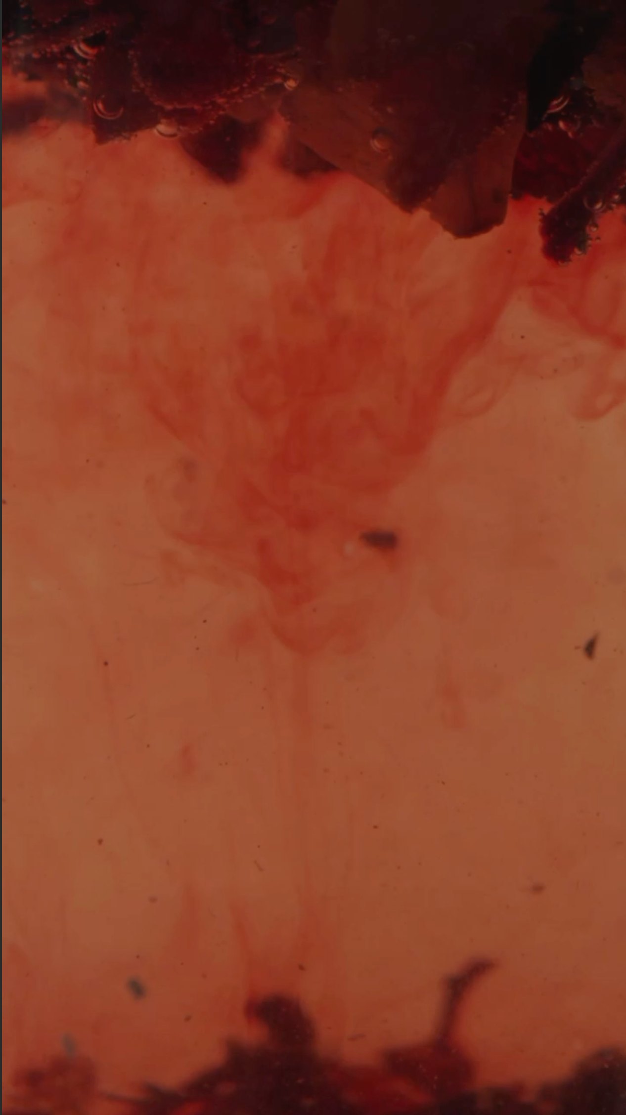 Still from Teaera: Activation Visualisers