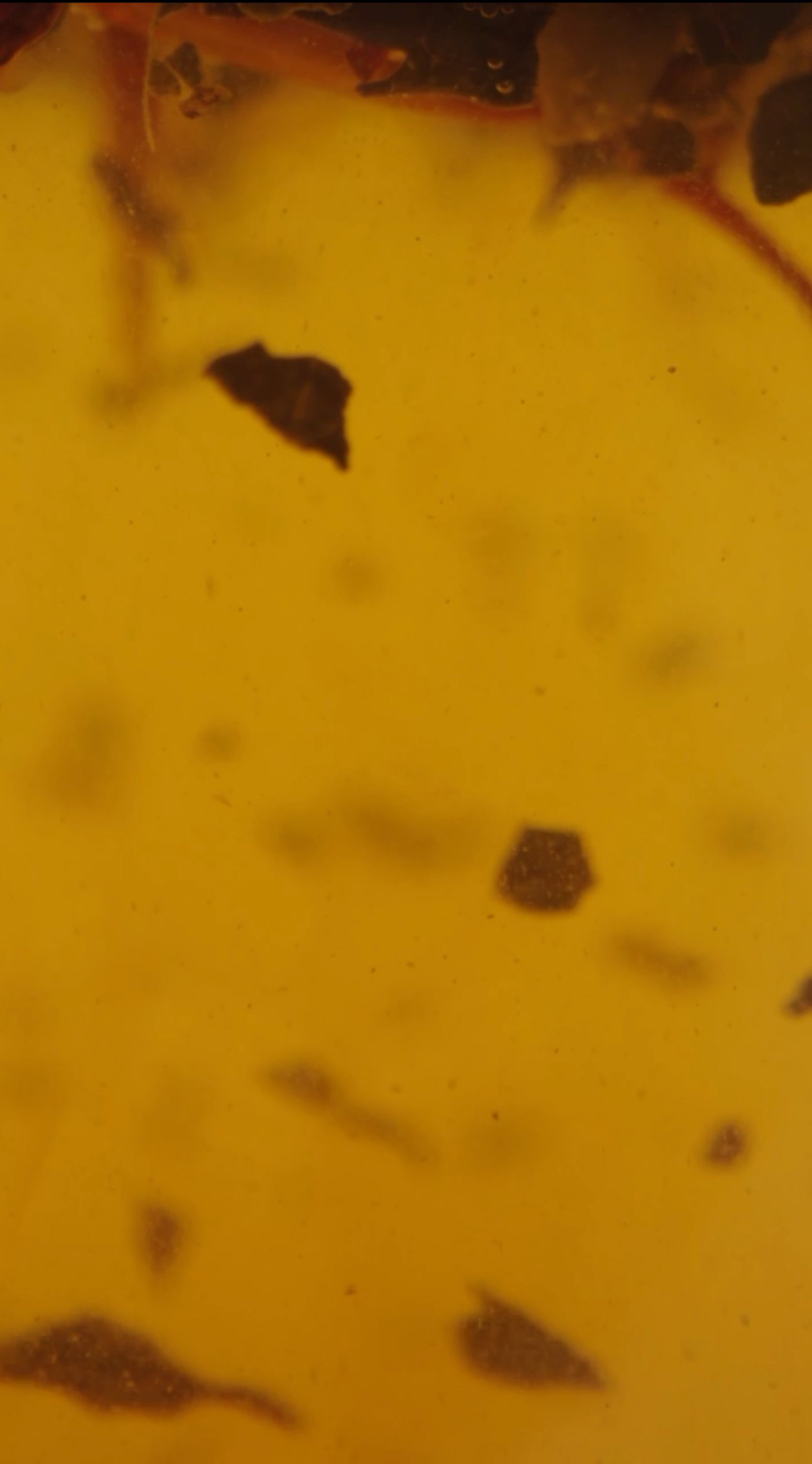 Still from Teaera: Activation Visualisers